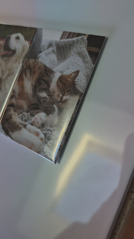 Custom Rectangle Magnet (3"x2")